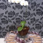 Brasil Móveis 2011 | Imetextil Tecidos para Decoração e Persianas